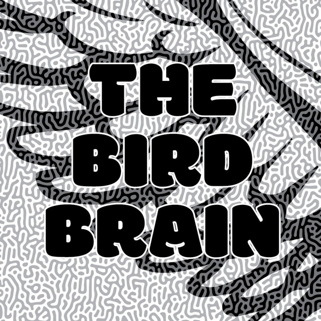 The Bird Brain